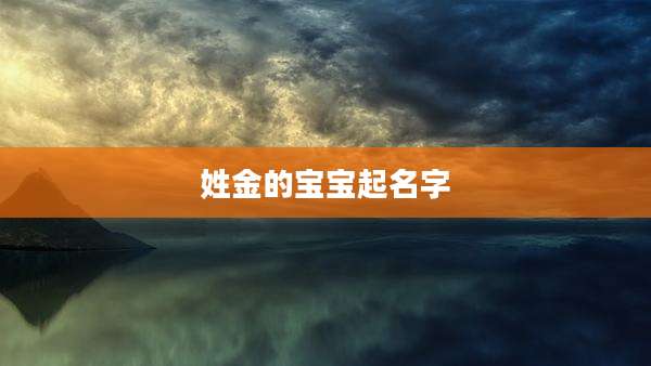 姓金的宝宝起名字