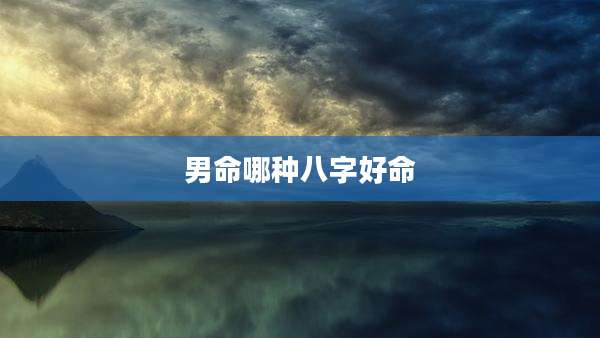 男命哪种八字好命