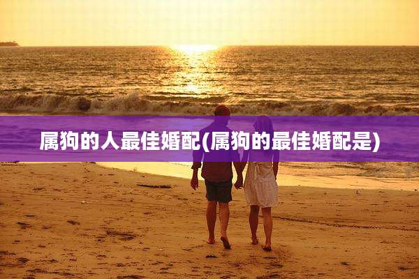 属狗的人最佳婚配(属狗的最佳婚配是)