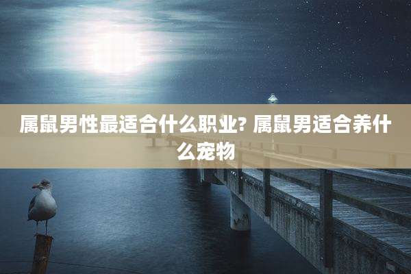 属鼠男性最适合什么职业? 属鼠男适合养什么宠物