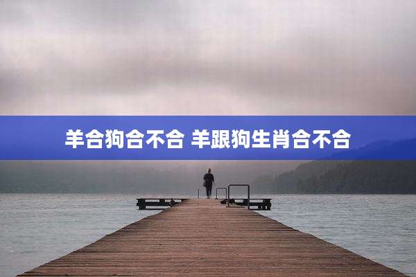羊合狗合不合 羊跟狗生肖合不合