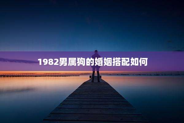 1982男属狗的婚姻搭配如何