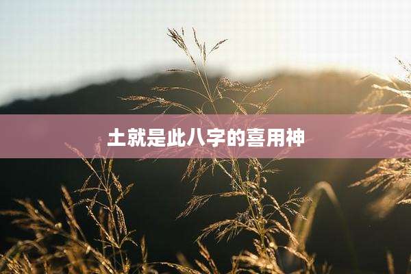 土就是此八字的喜用神