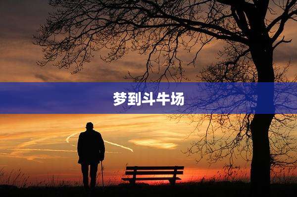 梦到斗牛场