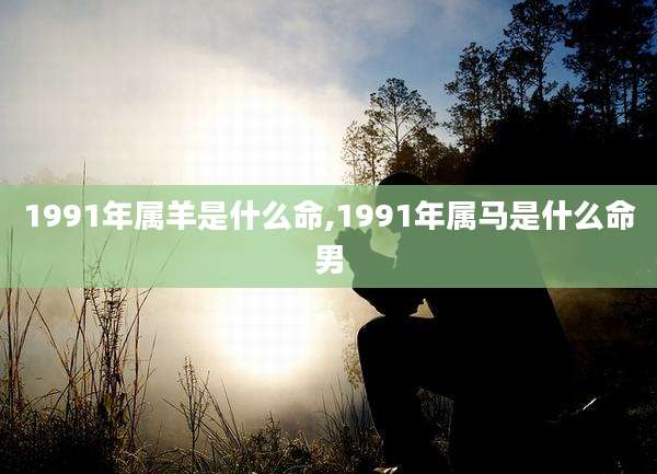 1991年属羊是什么命,1991年属马是什么命男