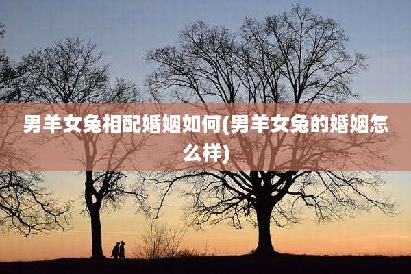 男羊女兔相配婚姻如何(男羊女兔的婚姻怎么样)