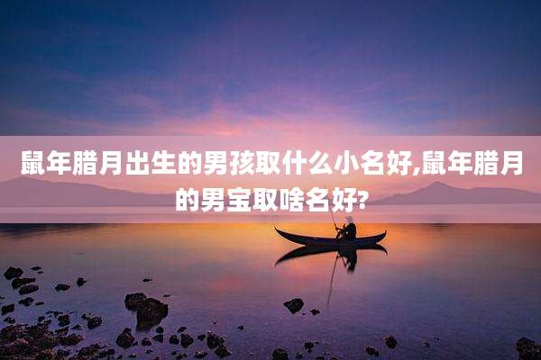 鼠年腊月出生的男孩取什么小名好,鼠年腊月的男宝取啥名好?