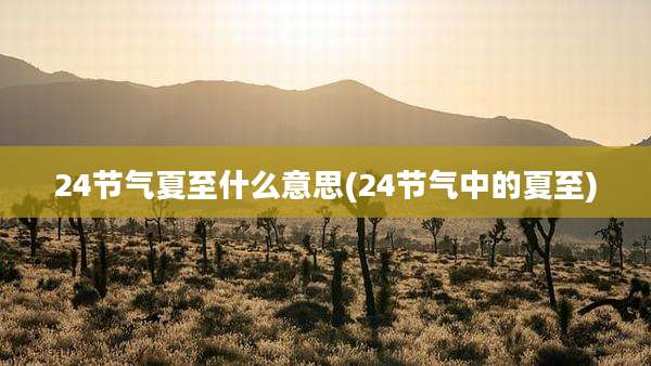 24节气夏至什么意思(24节气中的夏至)