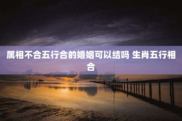属相不合五行合的婚姻可以结吗 生肖五行相合