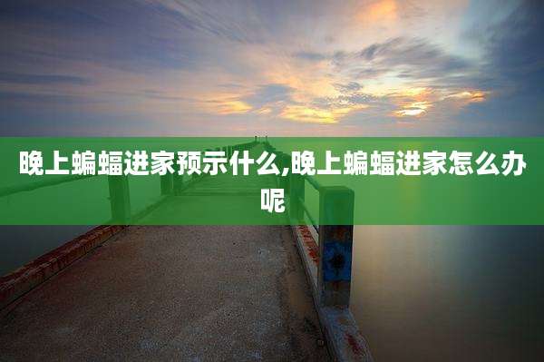 晚上蝙蝠进家预示什么,晚上蝙蝠进家怎么办呢