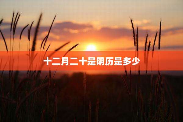 十二月二十是阴历是多少