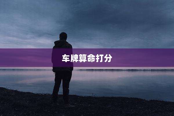 车牌算命打分
