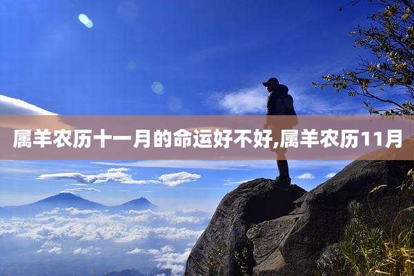 属羊农历十一月的命运好不好,属羊农历11月