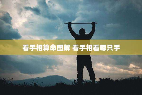 看手相算命图解 看手相看哪只手
