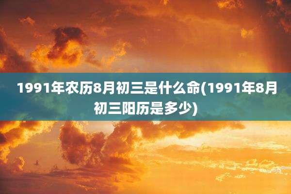 1991年农历8月初三是什么命(1991年8月初三阳历是多少)