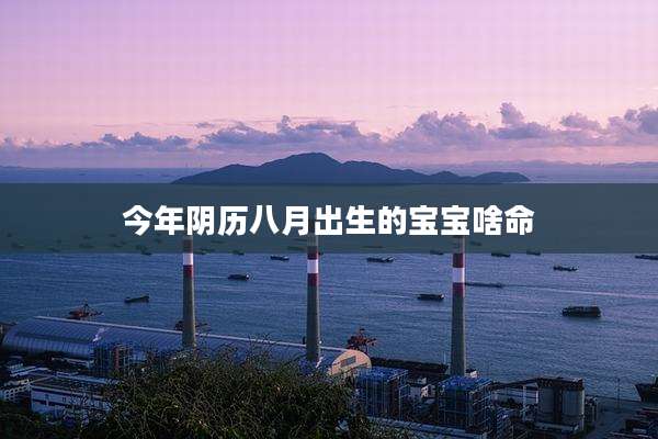 今年阴历八月出生的宝宝啥命