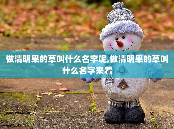 做清明果的草叫什么名字呢,做清明果的草叫什么名字来着