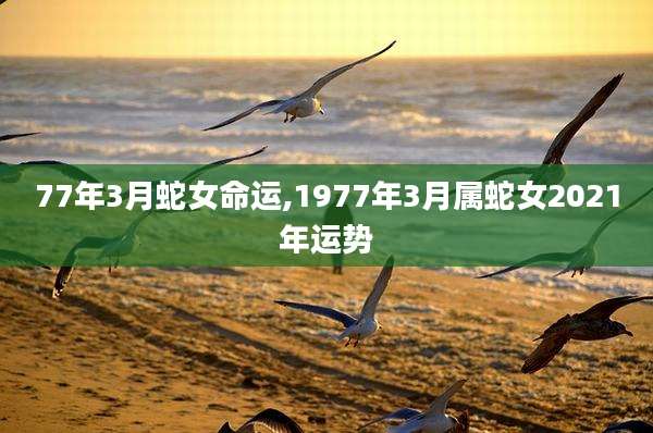 77年3月蛇女命运,1977年3月属蛇女2021年运势