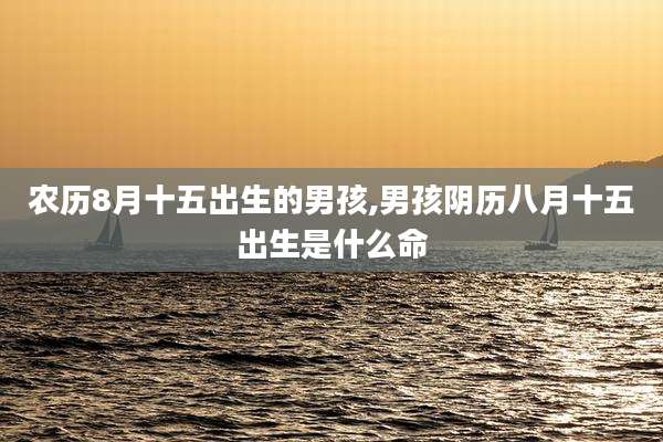 农历8月十五出生的男孩,男孩阴历八月十五出生是什么命