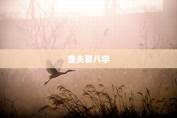 查夫妻八字