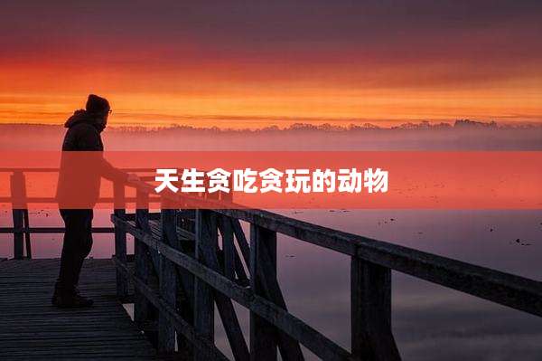 天生贪吃贪玩的动物