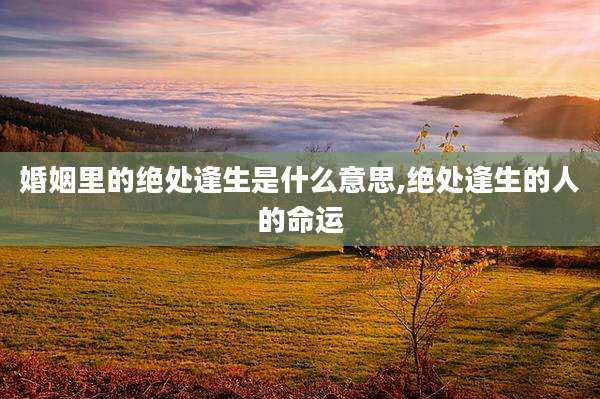 婚姻里的绝处逢生是什么意思,绝处逢生的人的命运
