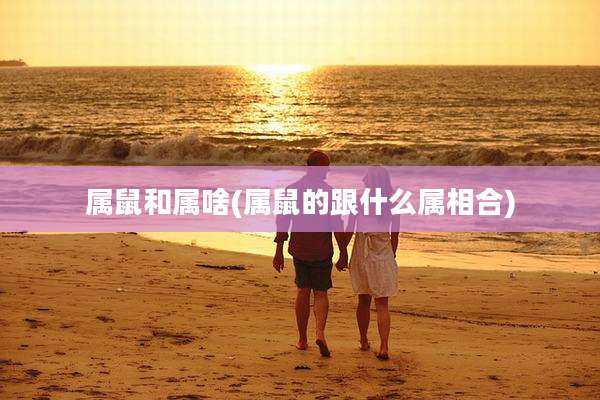 属鼠和属啥(属鼠的跟什么属相合)