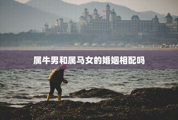 属牛男和属马女的婚姻相配吗