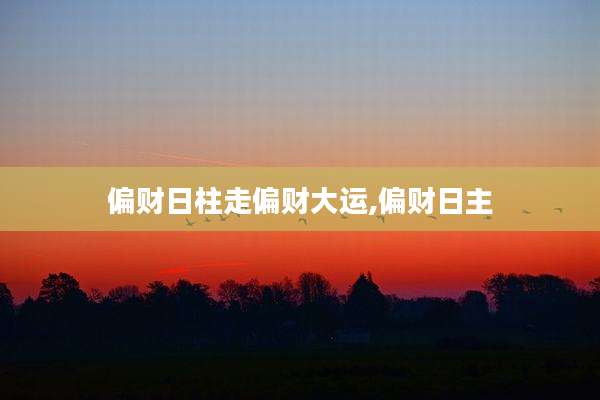 偏财日柱走偏财大运,偏财日主
