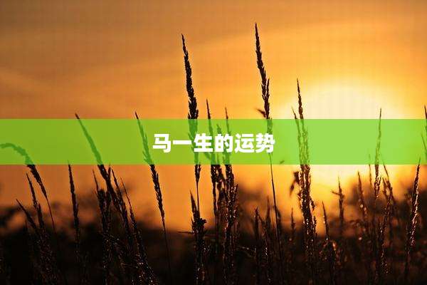 马一生的运势
