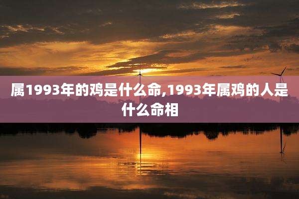 属1993年的鸡是什么命,1993年属鸡的人是什么命相