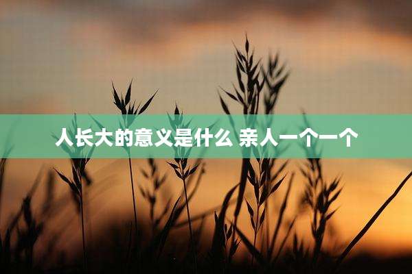 人长大的意义是什么 亲人一个一个