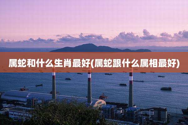 属蛇和什么生肖最好(属蛇跟什么属相最好)