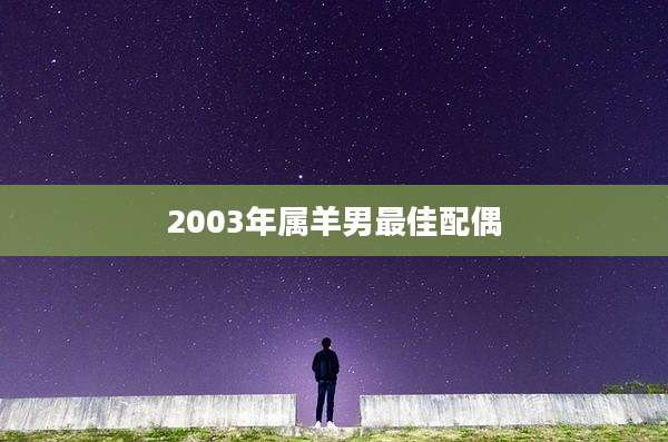 2003年属羊男最佳配偶