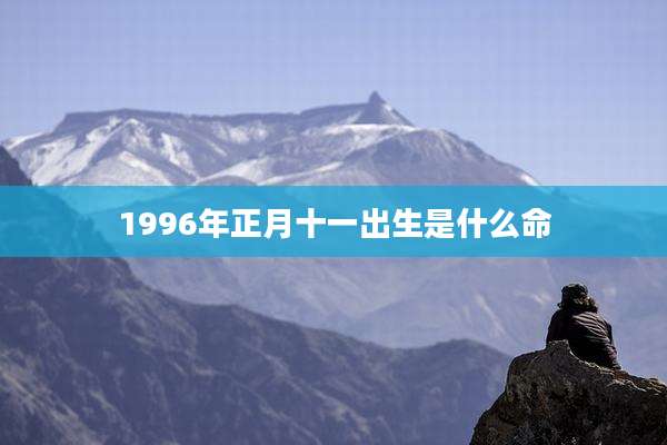 1996年正月十一出生是什么命