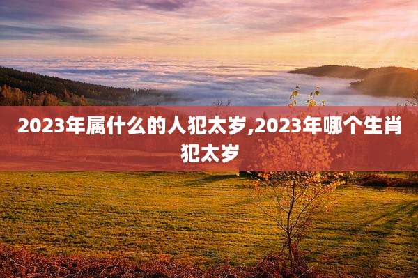 2023年属什么的人犯太岁,2023年哪个生肖犯太岁