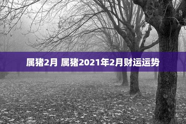 属猪2月 属猪2021年2月财运运势