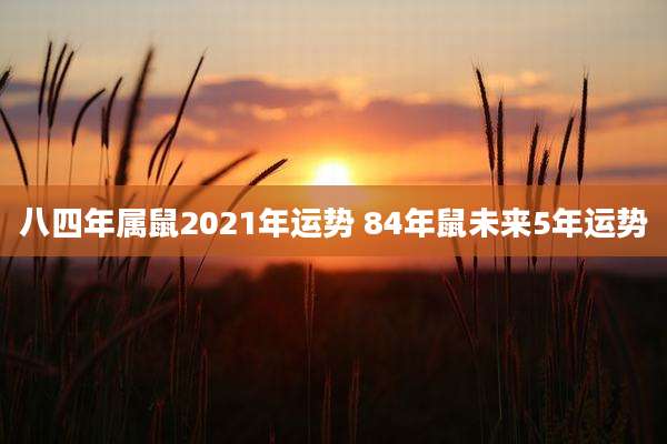 八四年属鼠2021年运势 84年鼠未来5年运势