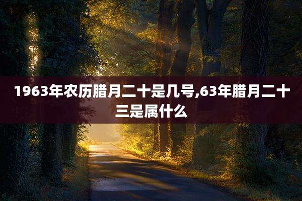 1963年农历腊月二十是几号,63年腊月二十三是属什么