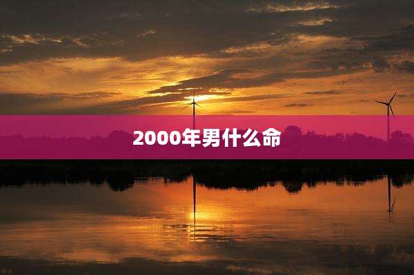 2000年男什么命