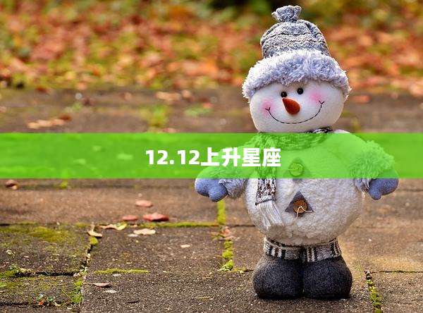 12.12上升星座