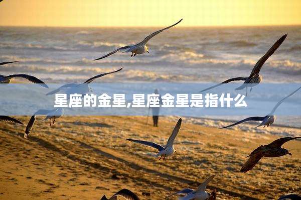 星座的金星,星座金星是指什么