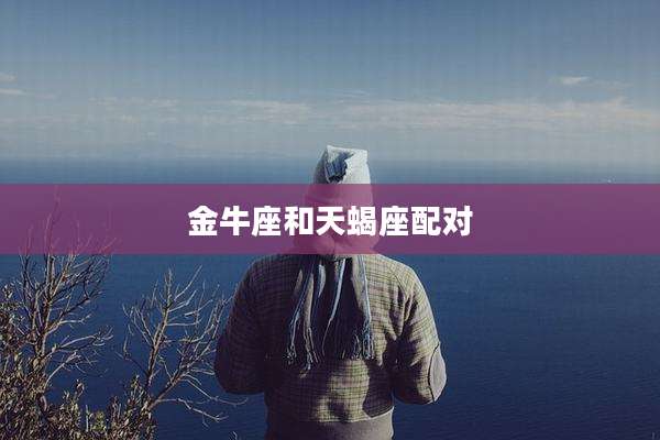 金牛座和天蝎座配对
