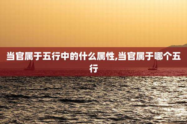 当官属于五行中的什么属性,当官属于哪个五行