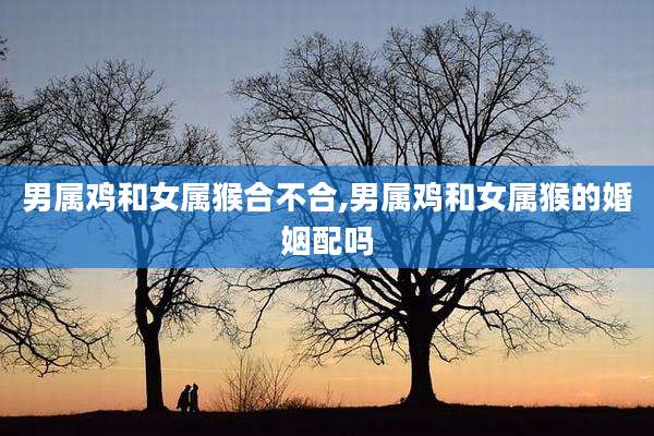 男属鸡和女属猴合不合,男属鸡和女属猴的婚姻配吗