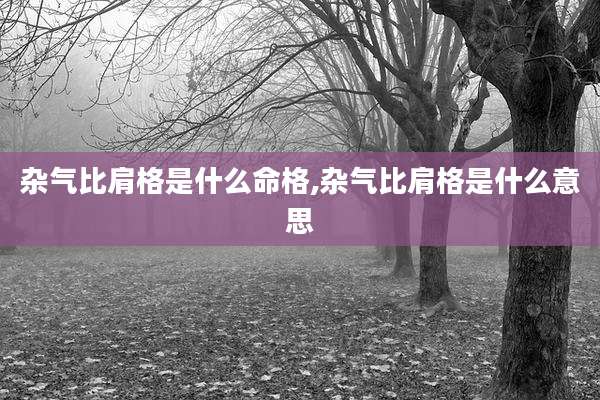 杂气比肩格是什么命格,杂气比肩格是什么意思