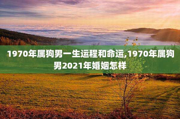 1970年属狗男一生运程和命运,1970年属狗男2021年婚姻怎样