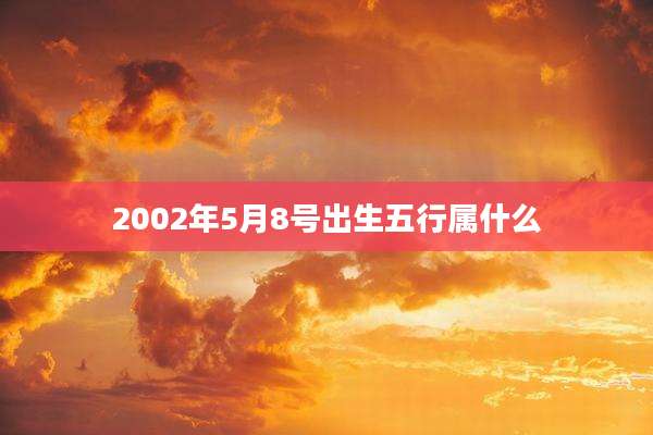 2002年5月8号出生五行属什么
