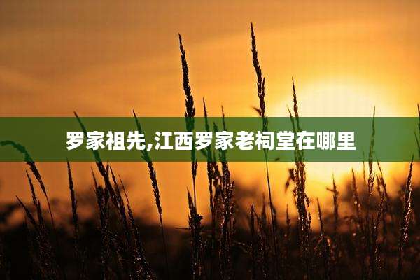 罗家祖先,江西罗家老祠堂在哪里