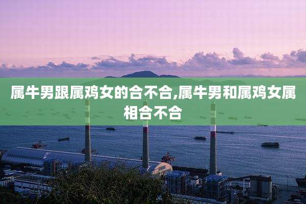 属牛男跟属鸡女的合不合,属牛男和属鸡女属相合不合